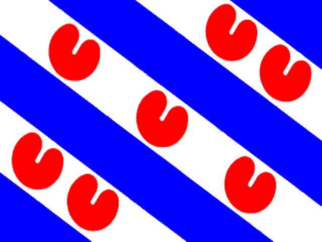 Provincievlag foto 1